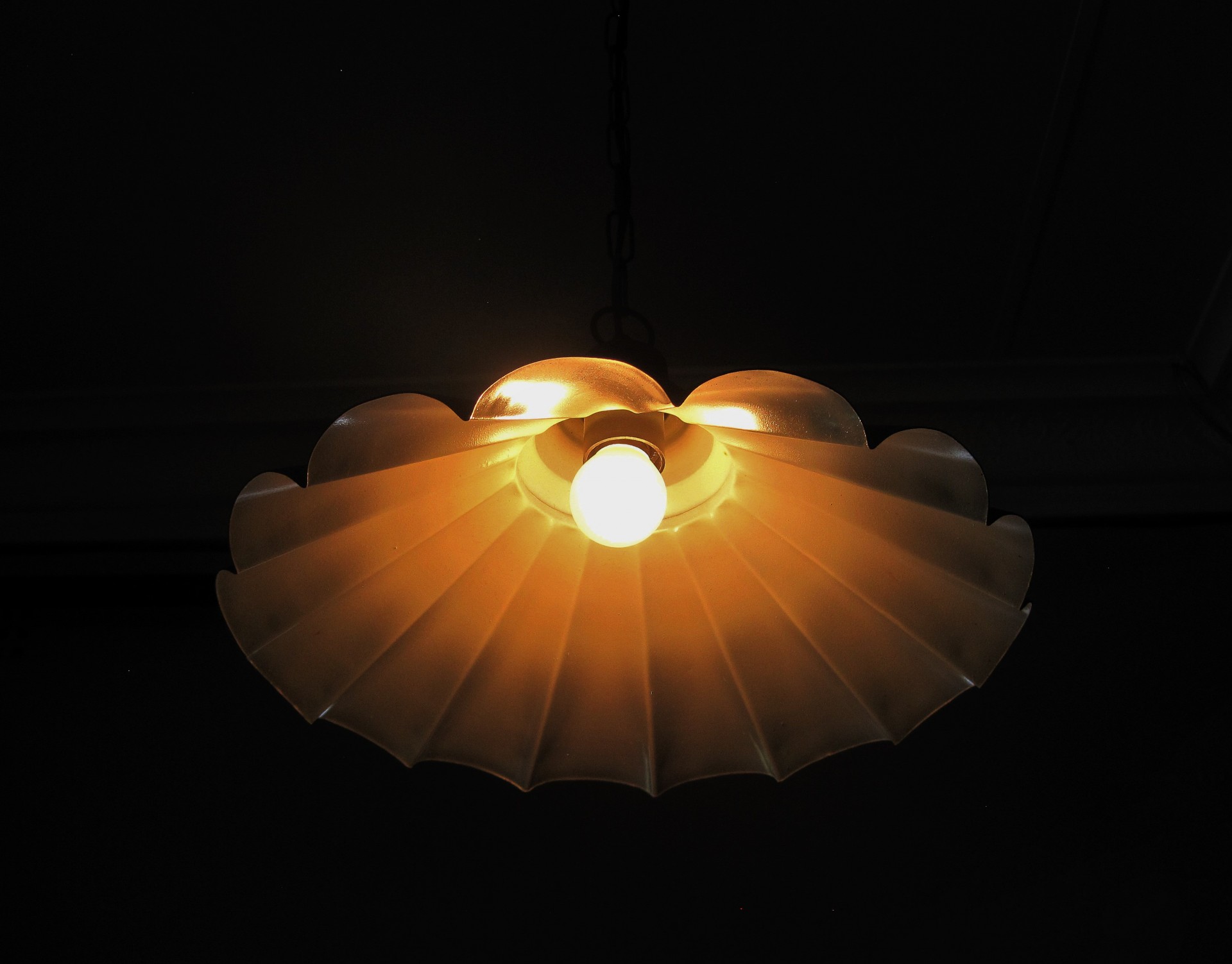 light shade scalloped free photo