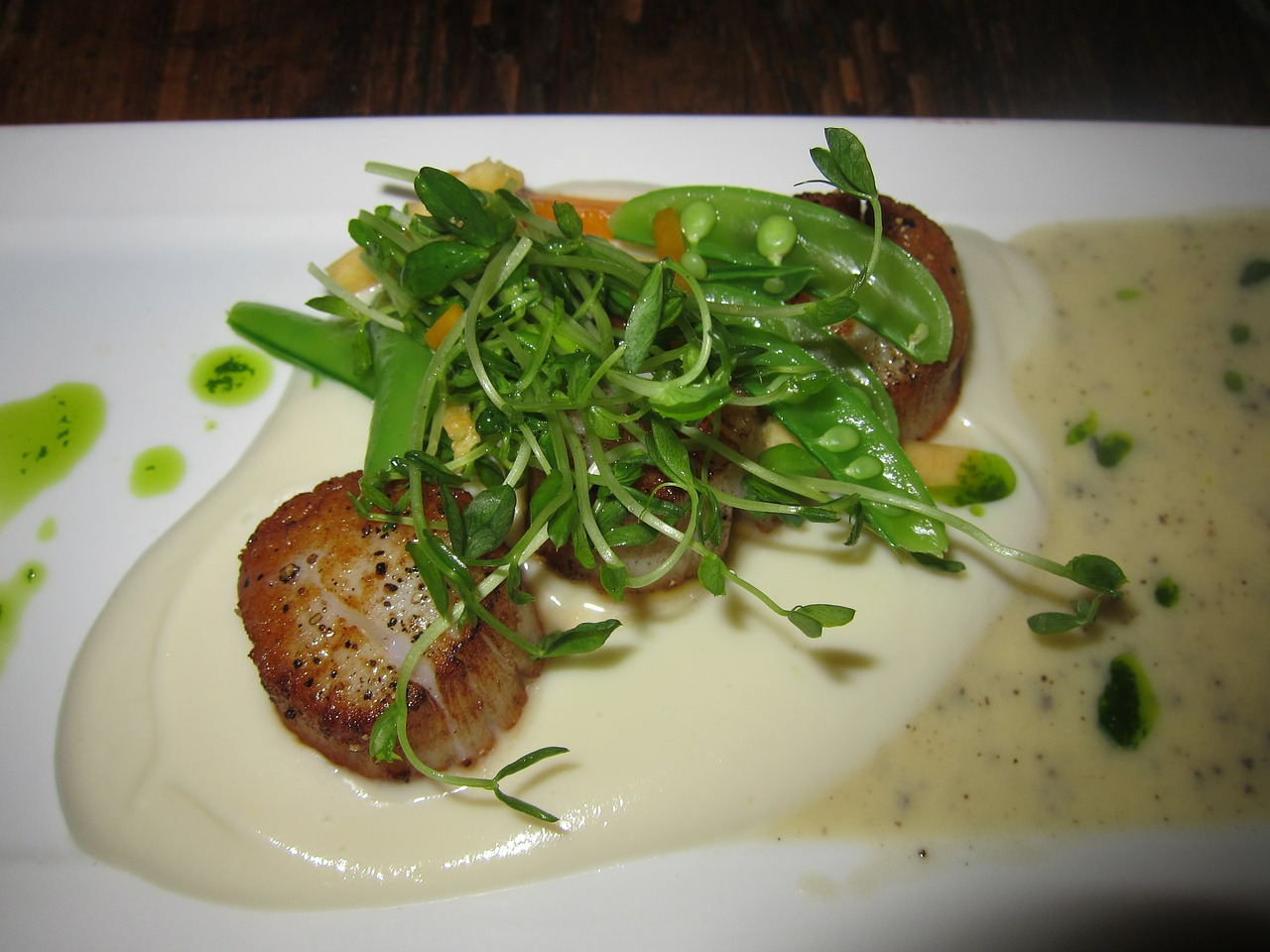 scallops seafood di free photo