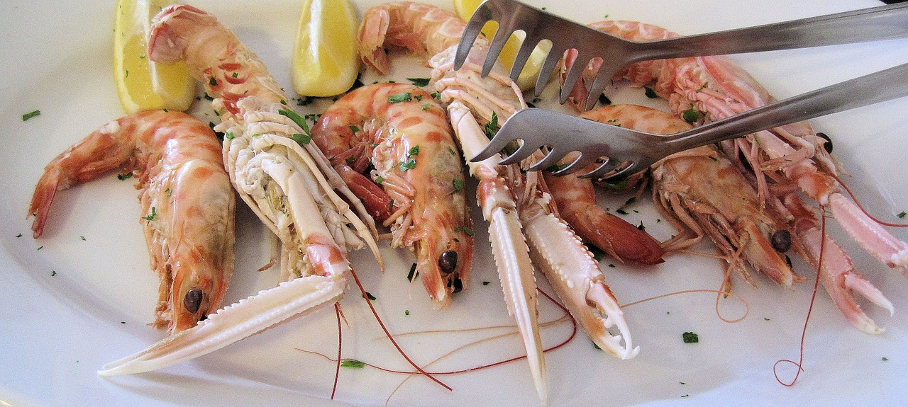 scampi seafood north free photo