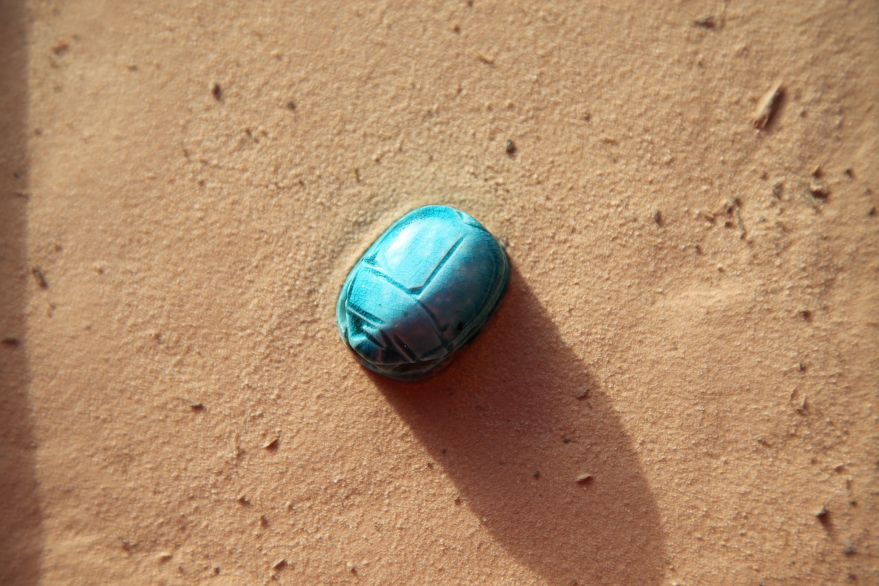 scarab  sand  insect free photo