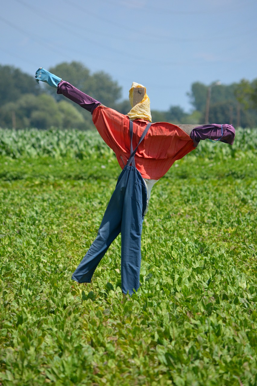 scarecrow deterrent field free photo