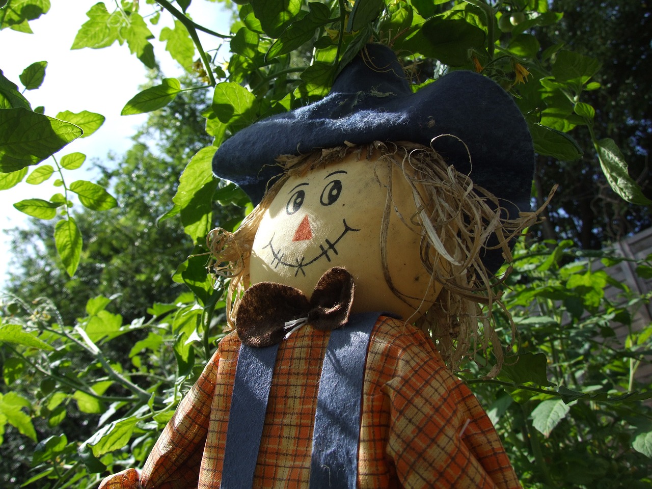 scarecrow garden farm free photo