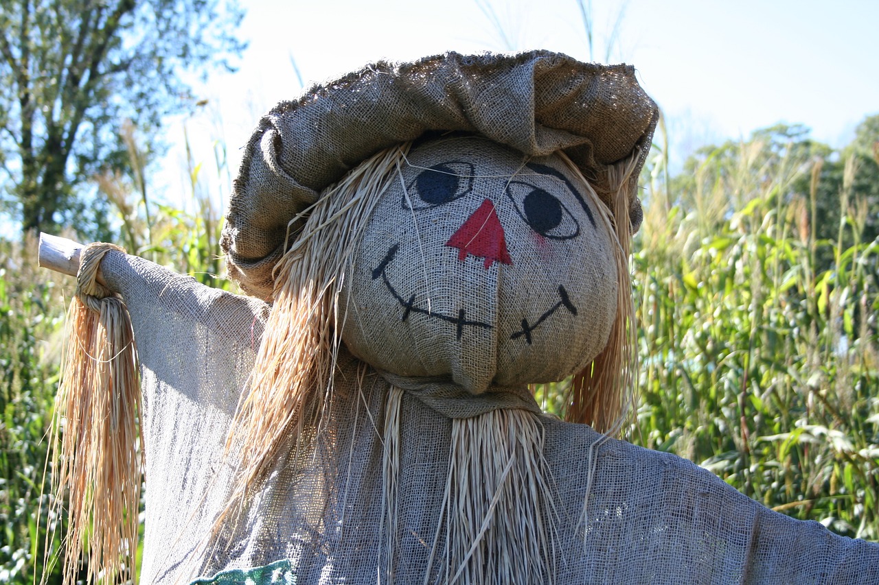 scarecrow fall straw free photo