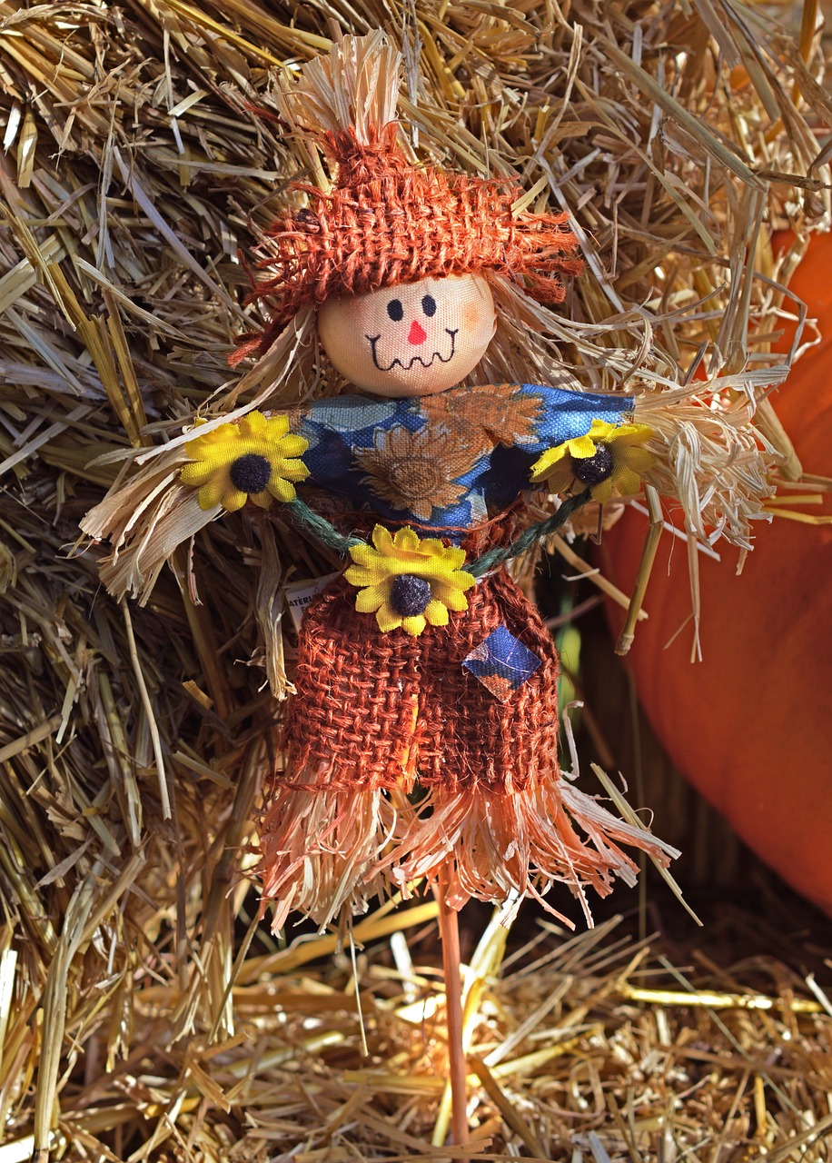 scarecrow autumn fall free photo