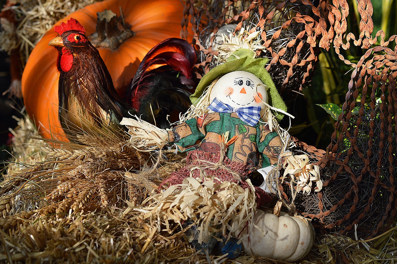 scarecrow rooster hay free photo