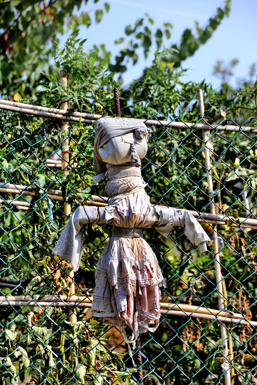 scarecrow garden doll free photo