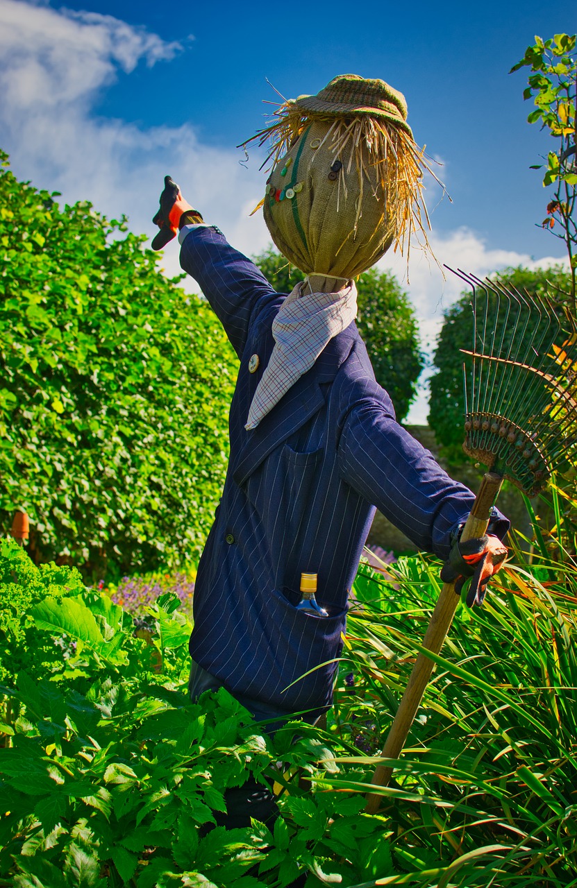 scarecrow  garden  doll free photo