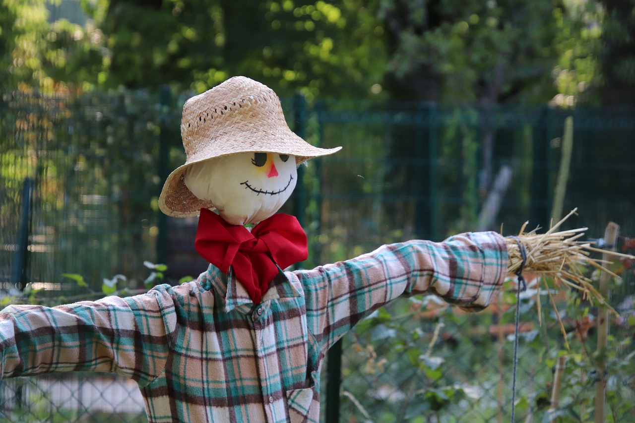 scarecrow  garden  gardening free photo