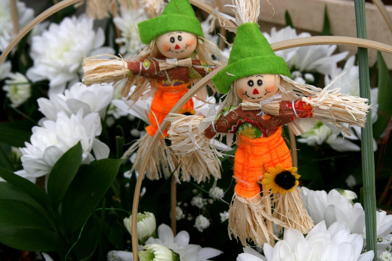 scarecrow couple flower free photo