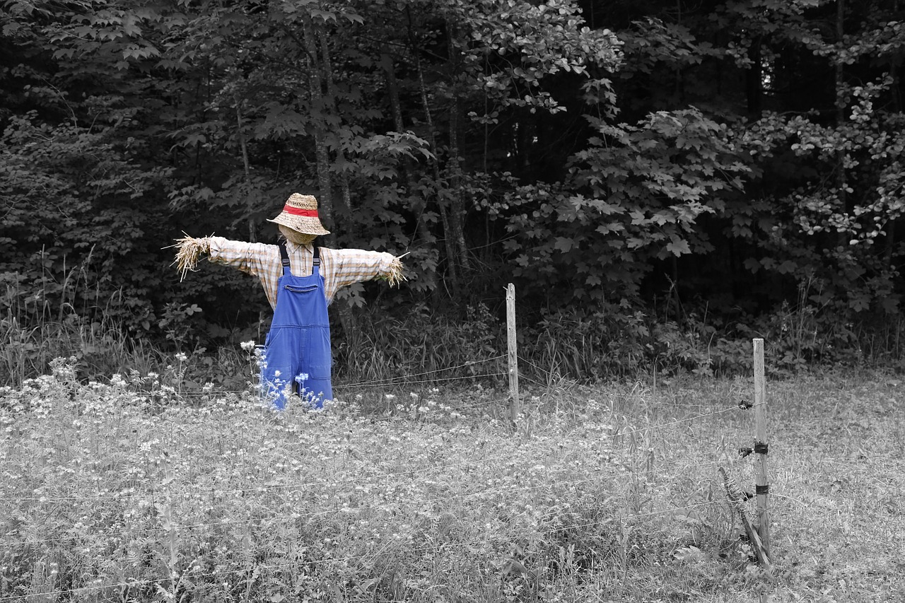 scarecrow nature garden free photo