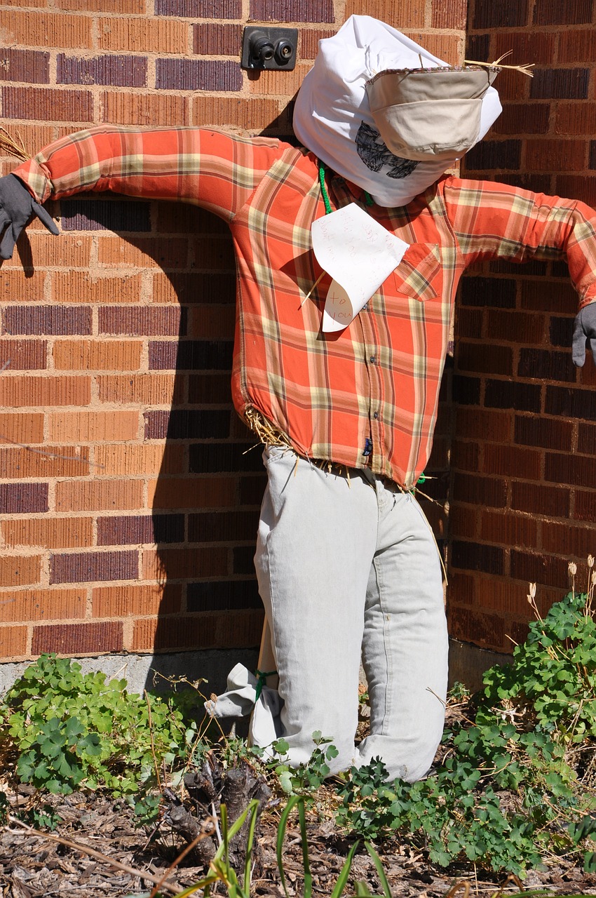 scarecrow brick dickinson state university free photo