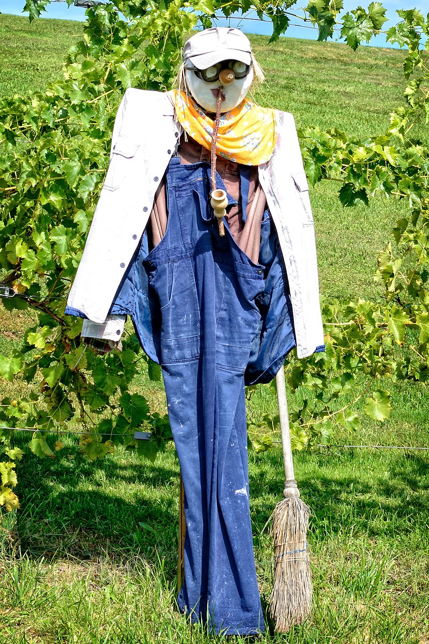 scarecrow woman of straw figure free photo