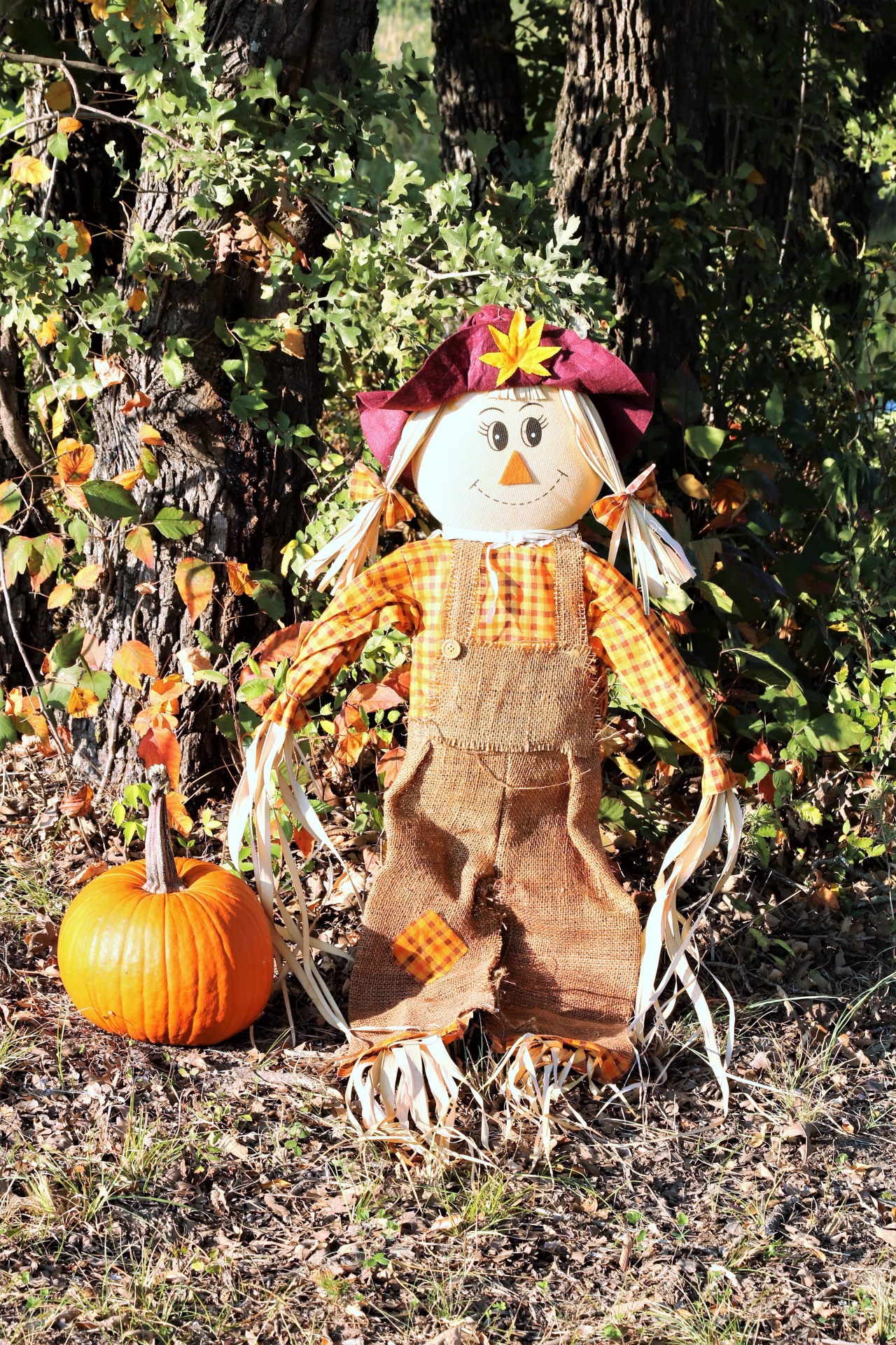 scarecrow girl scarecrow smiling scarecrow free photo