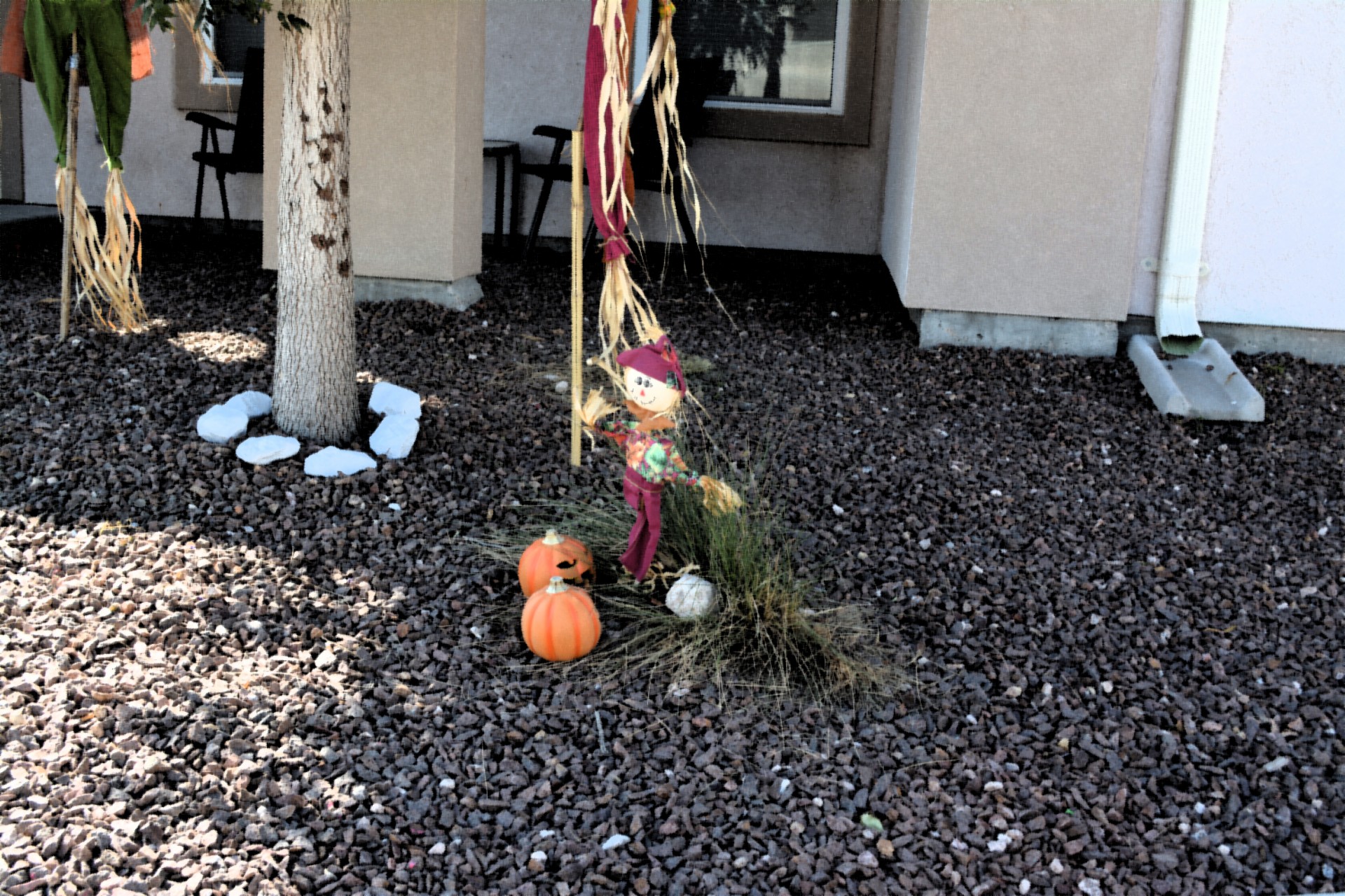 fall scarecrow pumpkin free photo