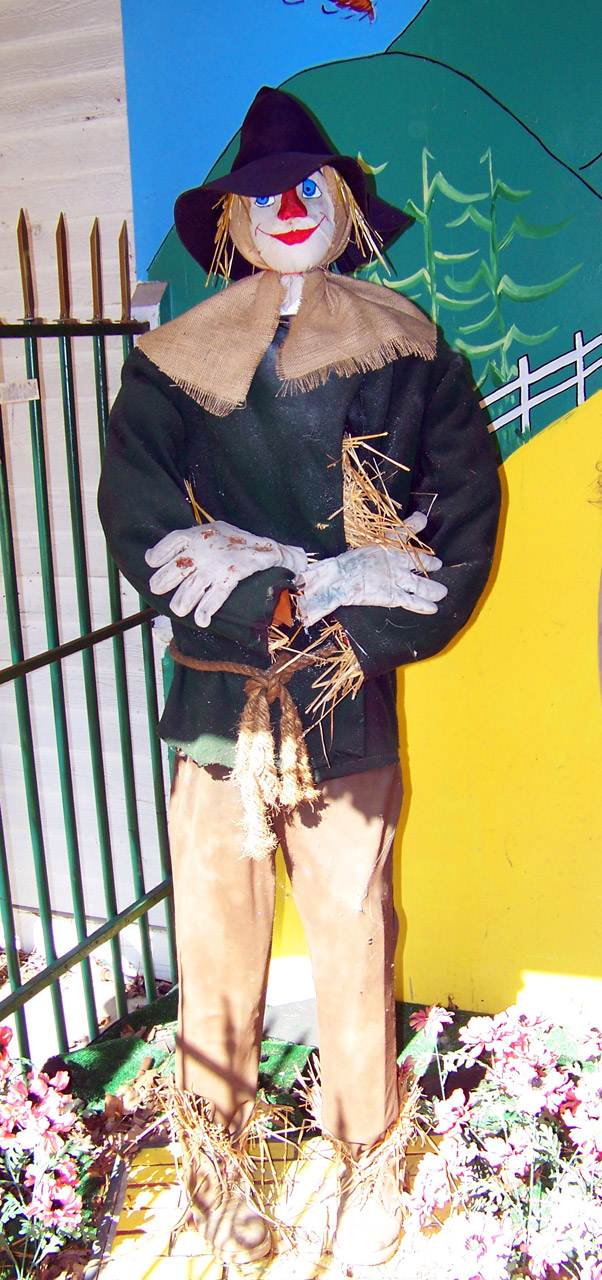 scarecrow wizard oz free photo