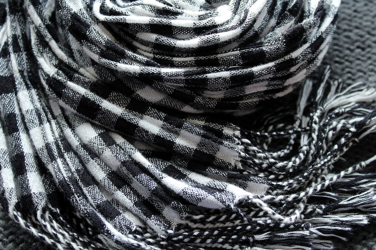 scarf clothing grid free photo