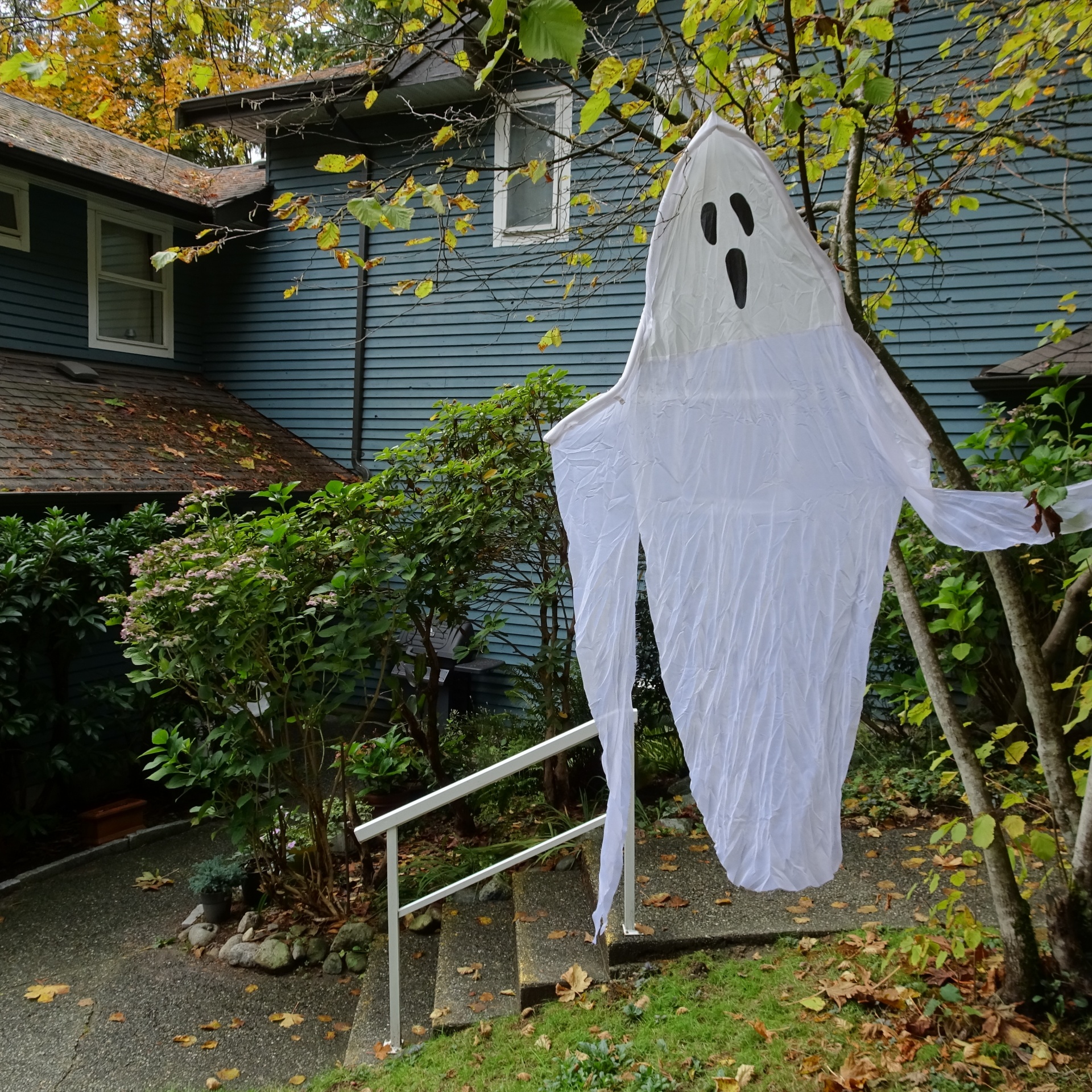 halloween ghost closeup free photo