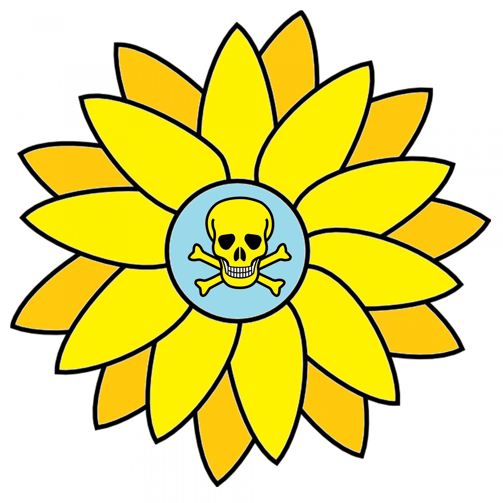 drawing sunflower scull free photo