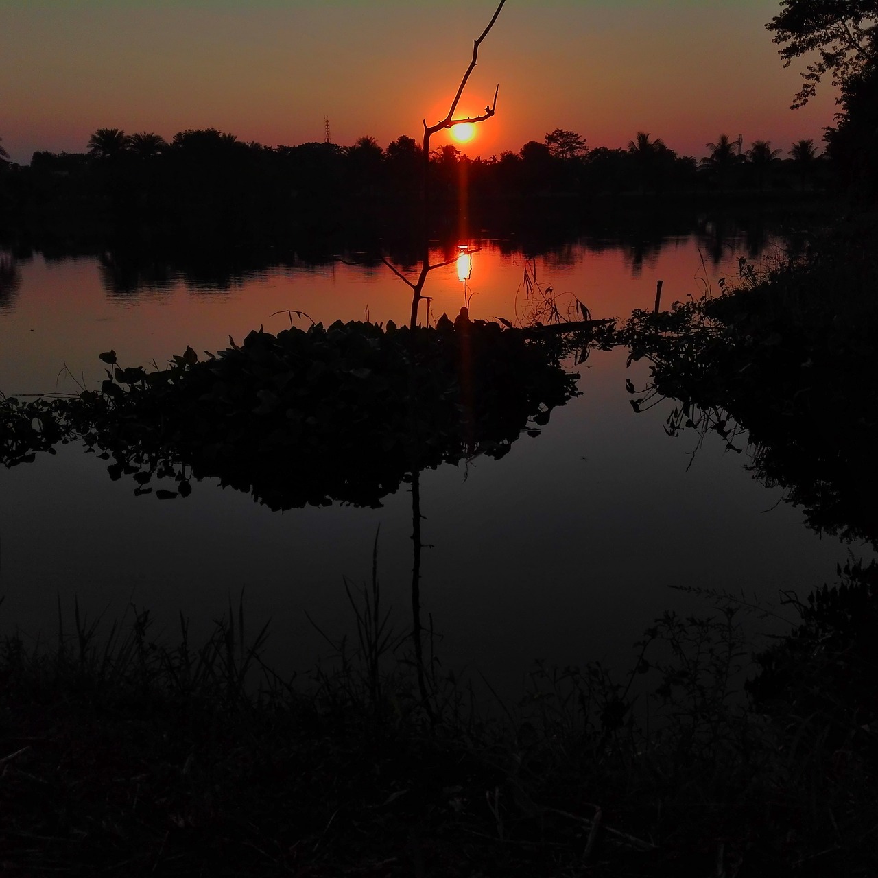 scenario  sunset  at free photo