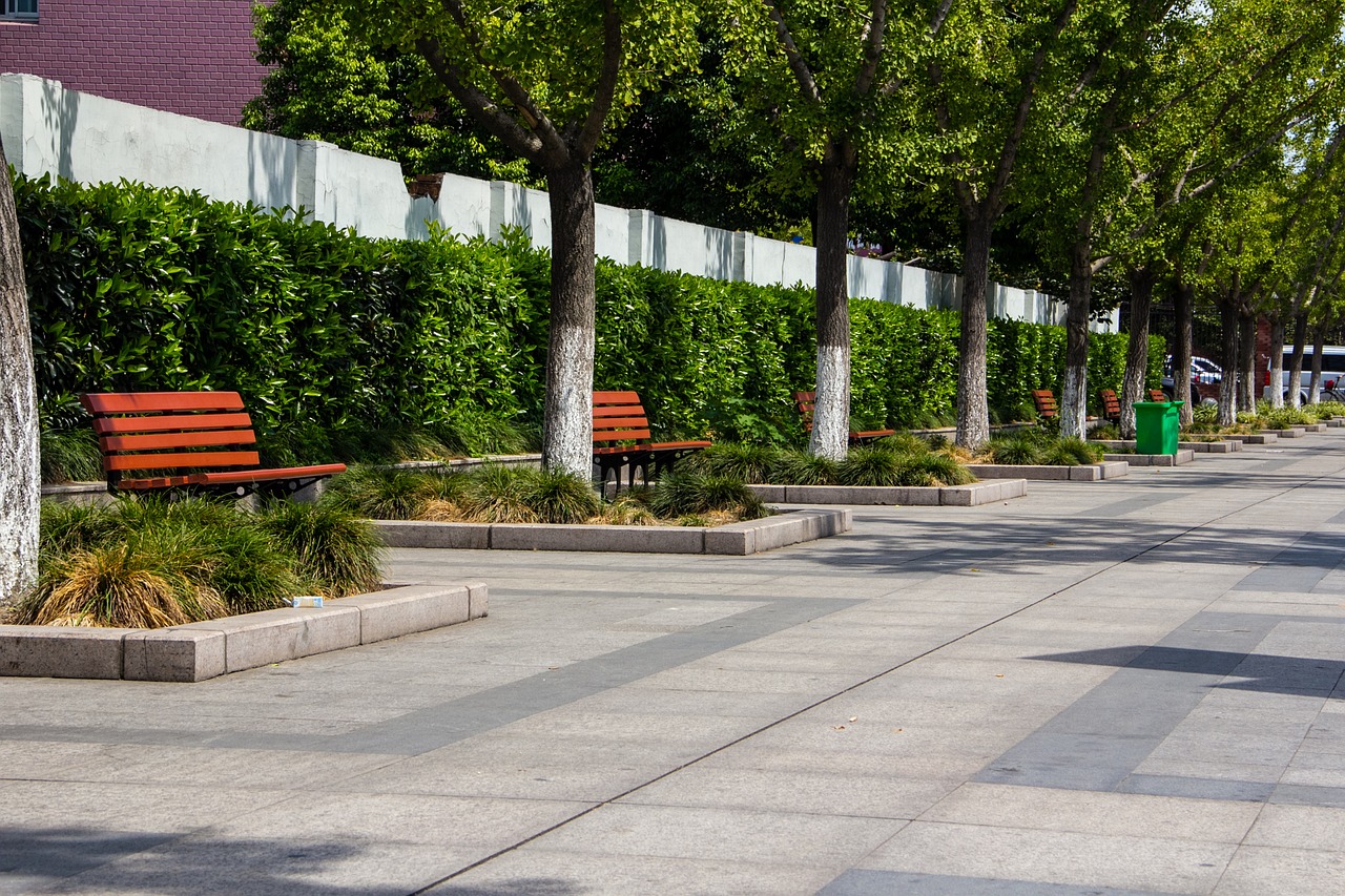 scene park bench free photo