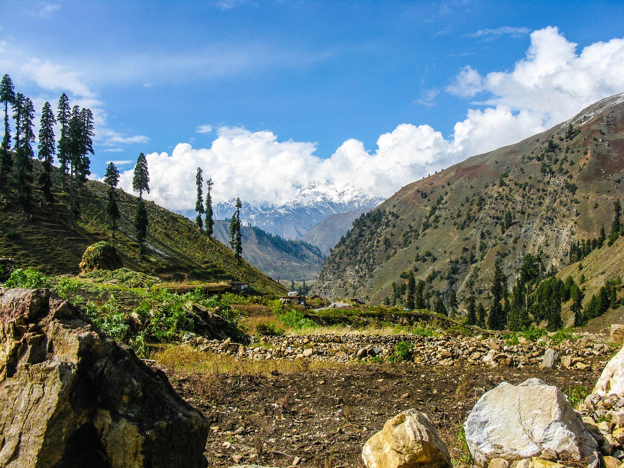 scenery mountain trees free photo