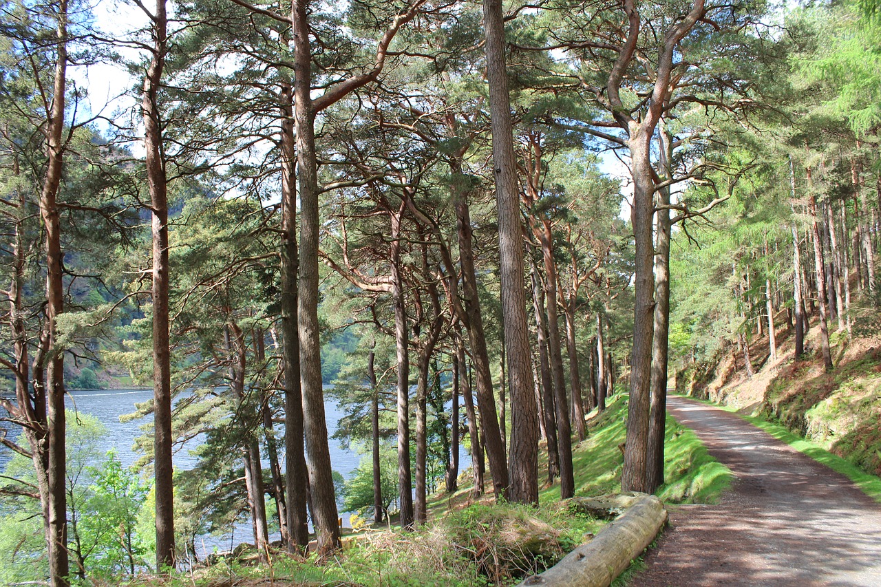 scenery ireland glendalough free photo