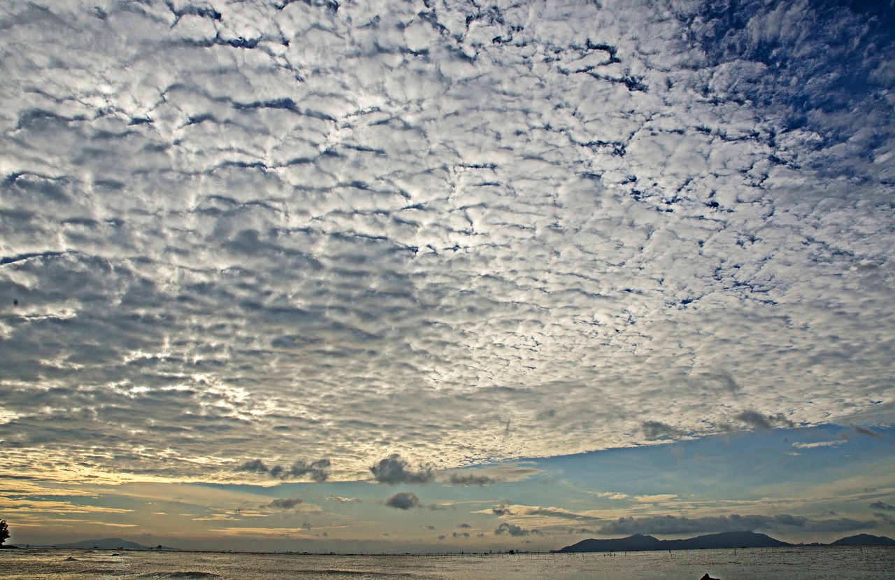 scenery vietnam coast free photo