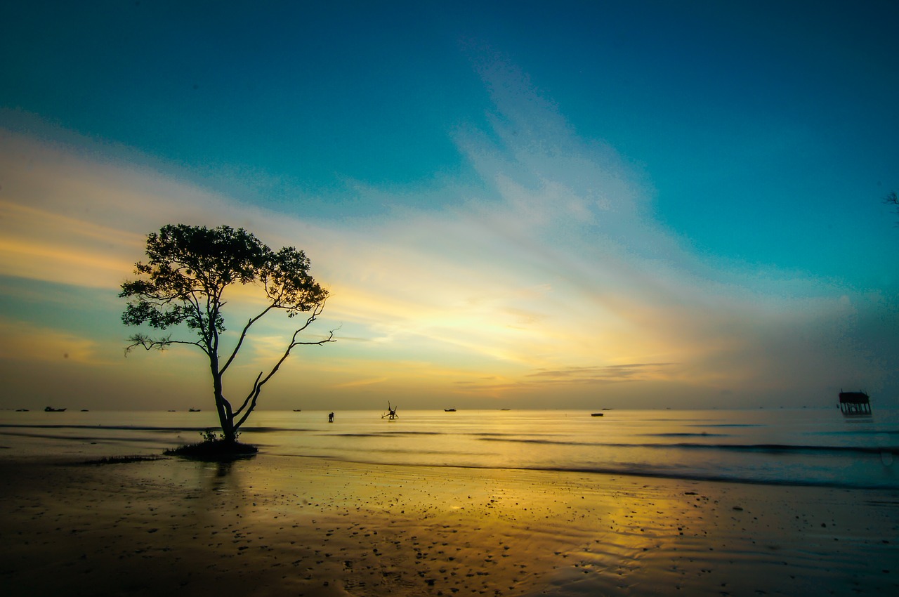 scenery the sea dawn free photo