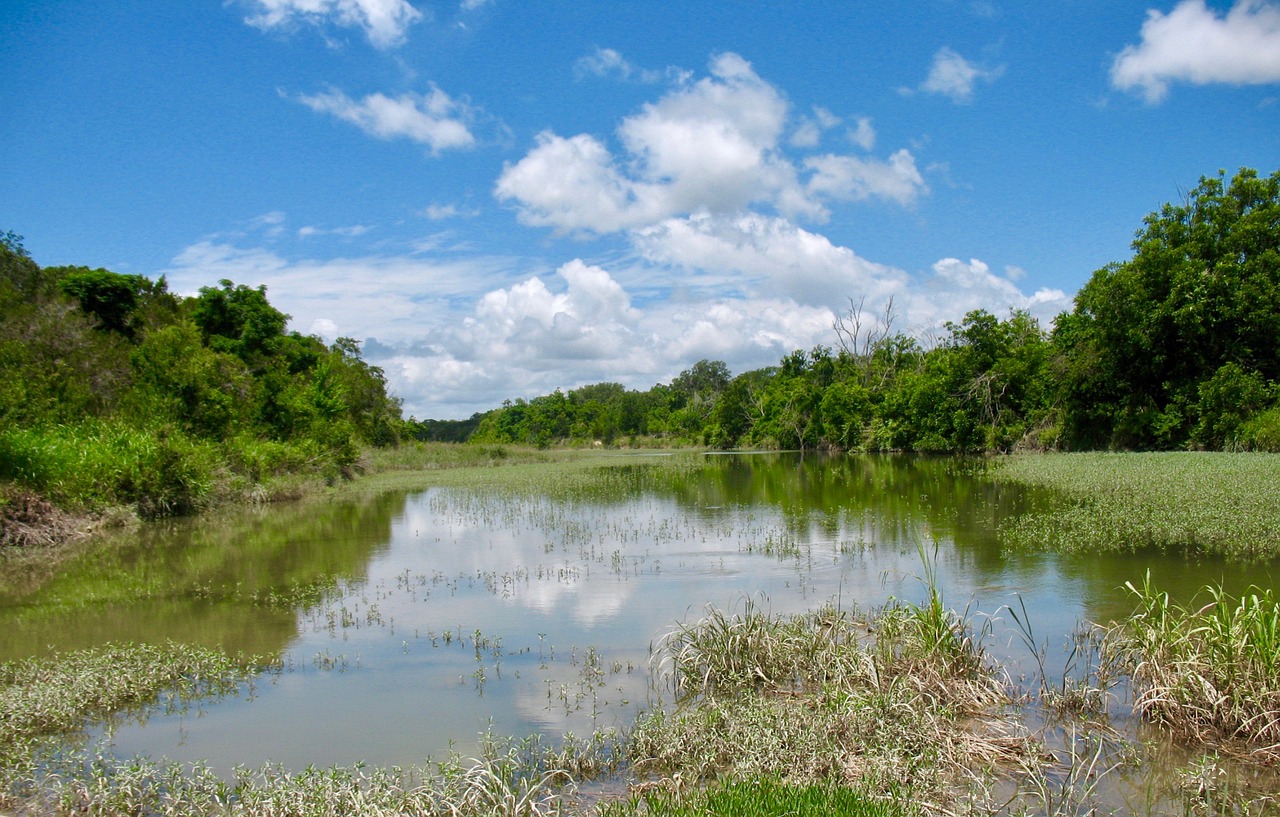 scenery nature river free photo