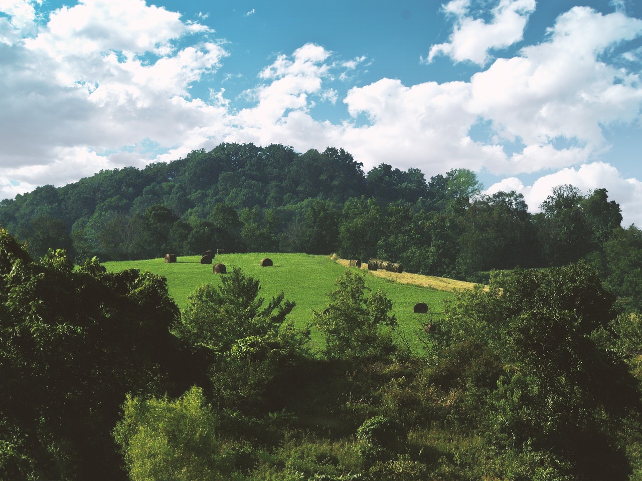 scenery landscape kentucky free photo