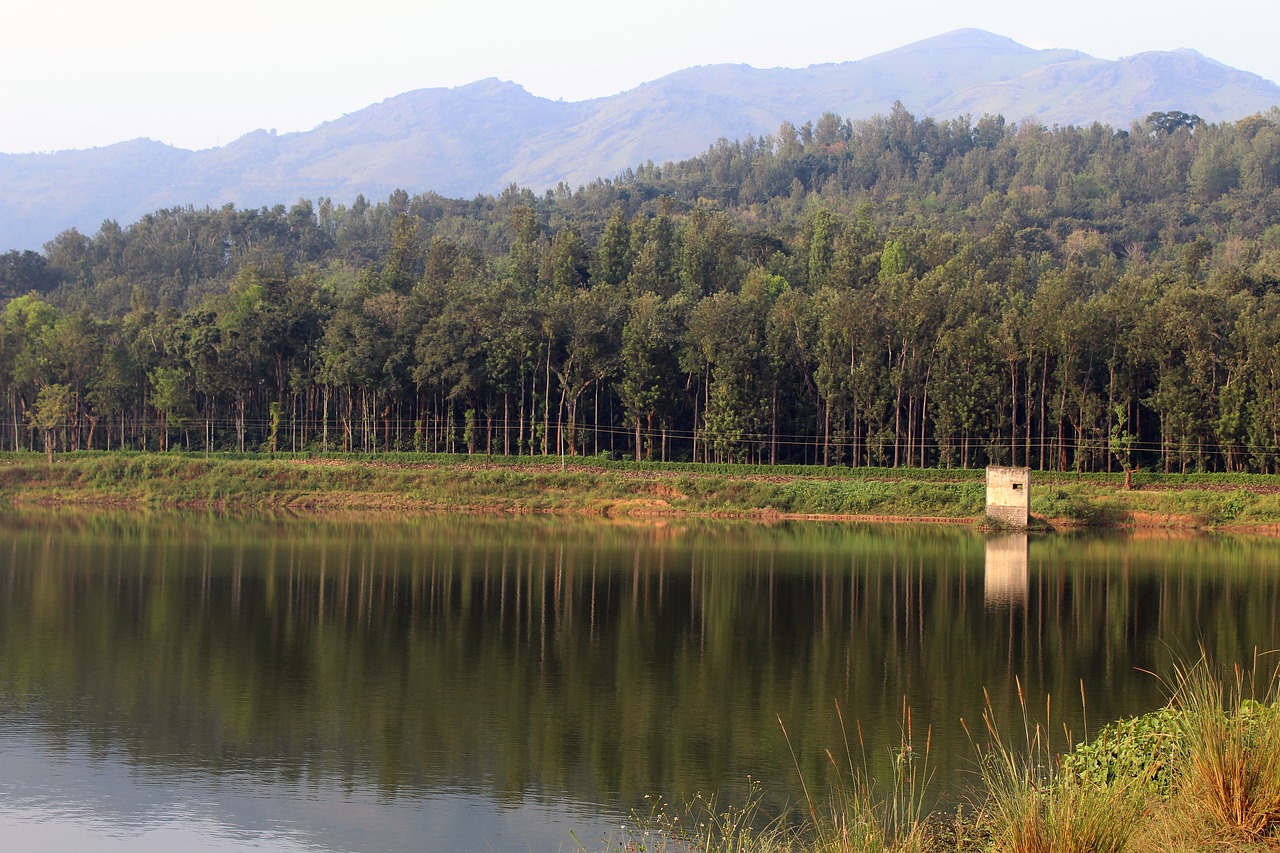 scenery reflection water free photo