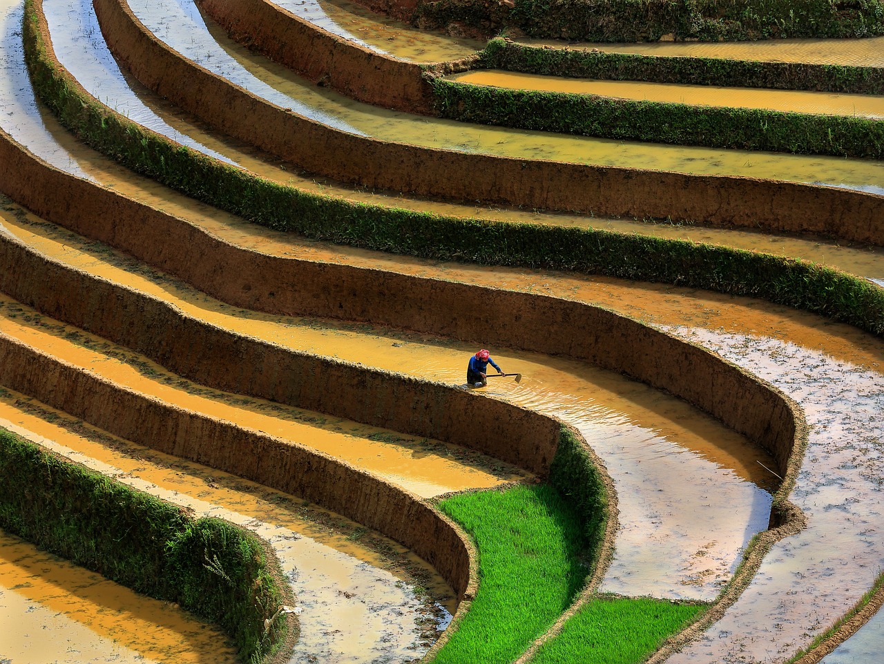 scenery terraces season pour water into the fields free photo
