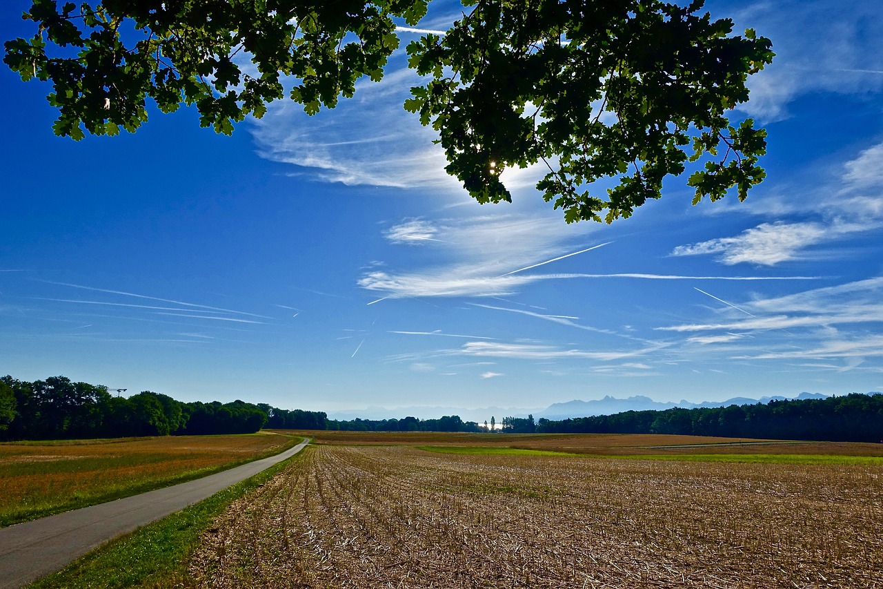 scenery  agriculture  nature free photo