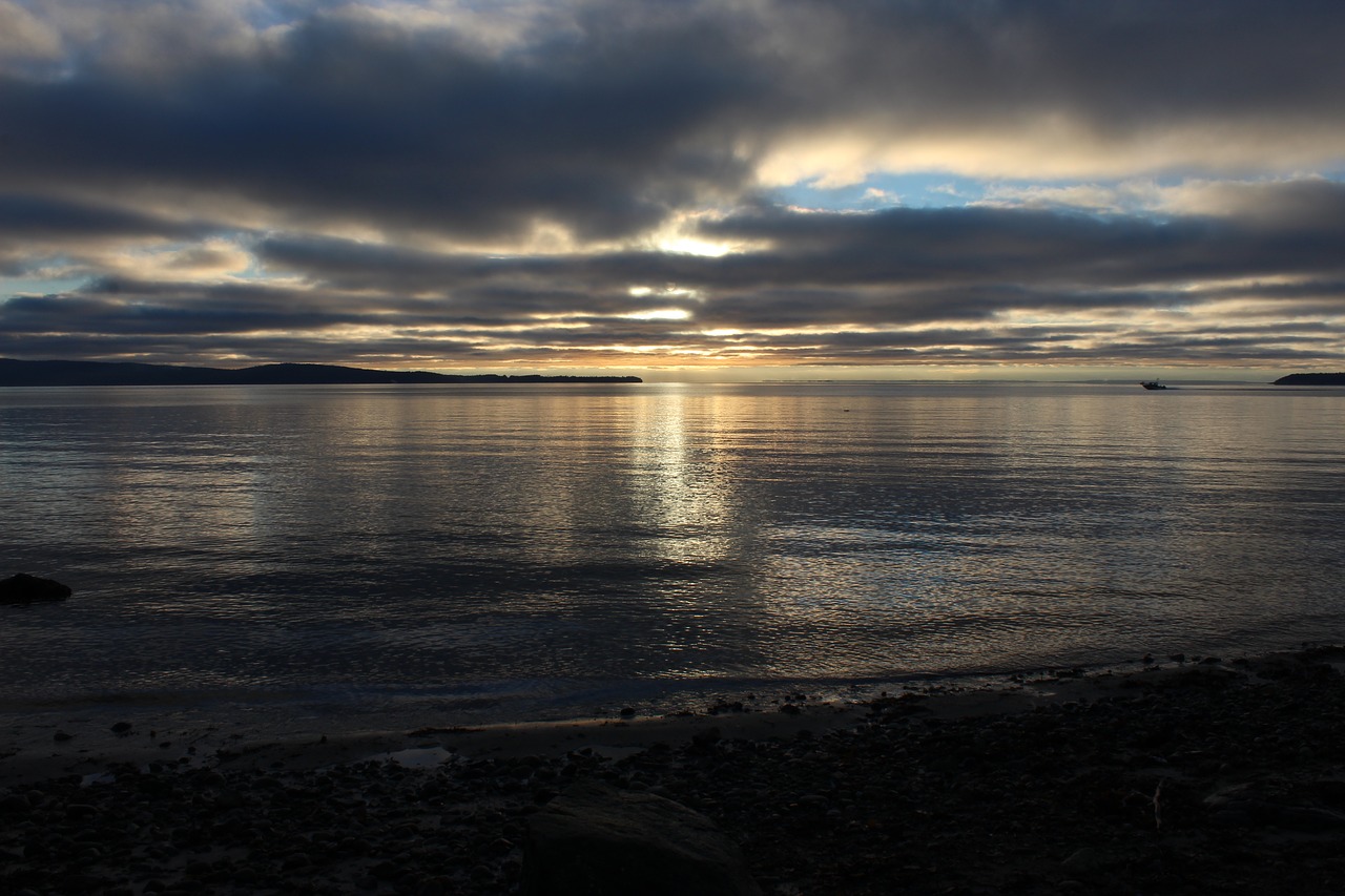 scenery  sunset  west coast free photo