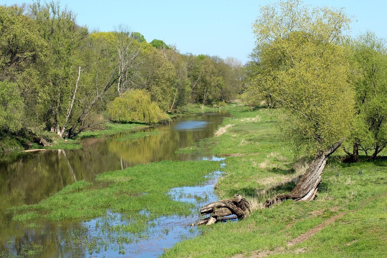 scenery  landscape  nature free photo