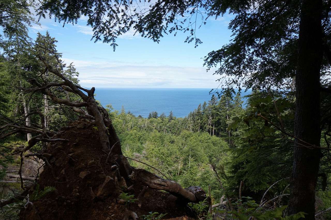 scenic ocean trail free photo