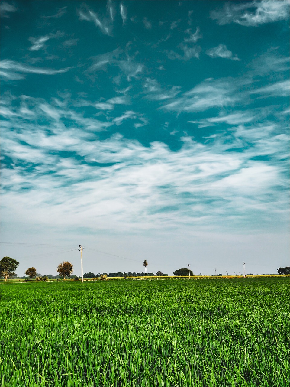 Scenic, clouds, blue sky, hd wallpaper, field - free image from ...