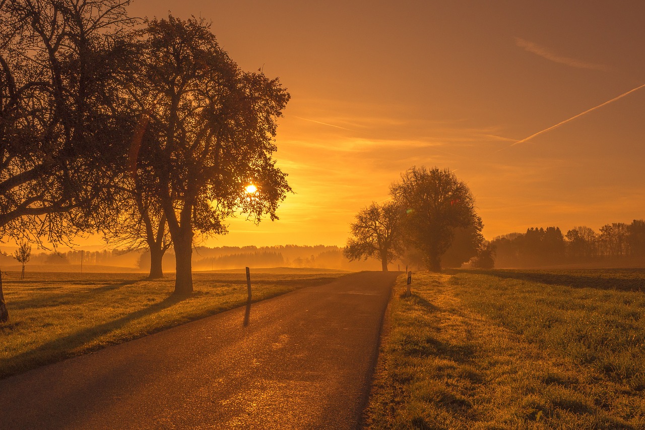 scenic road sunrise free photo