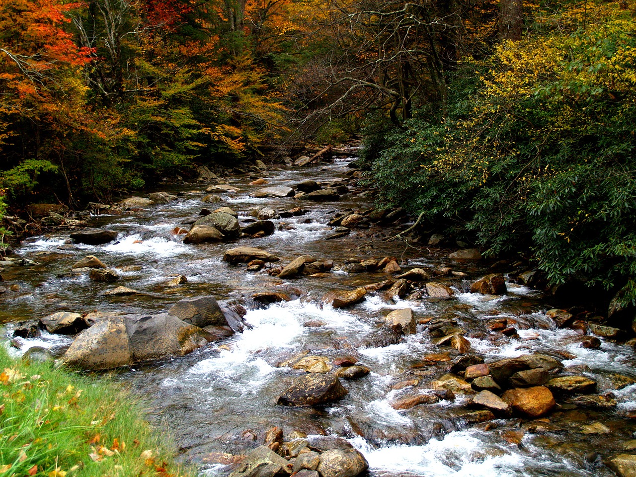 scenic great smoky mountains tennessee free photo