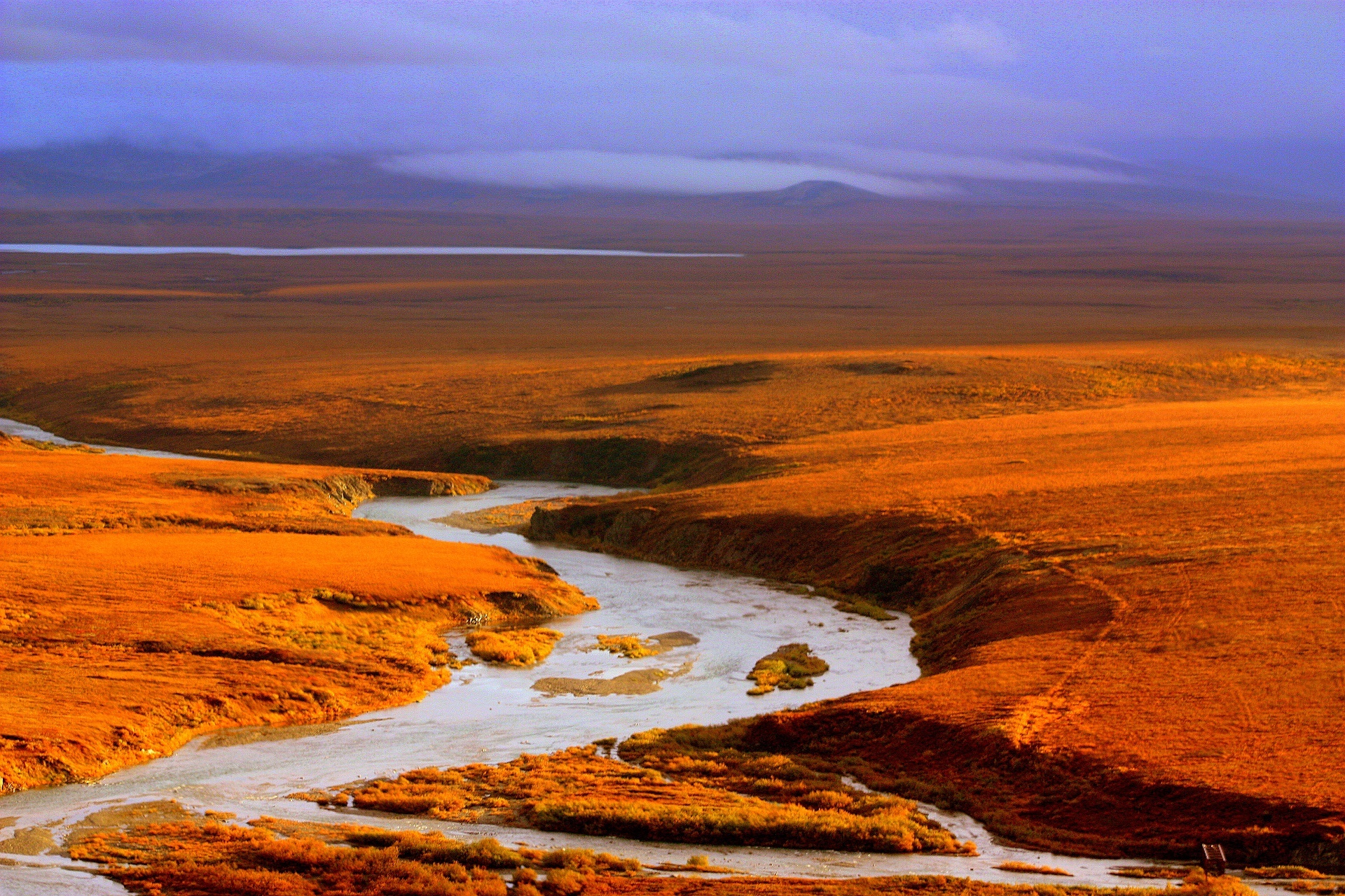 pilgrim river alaska seward peninsula free photo