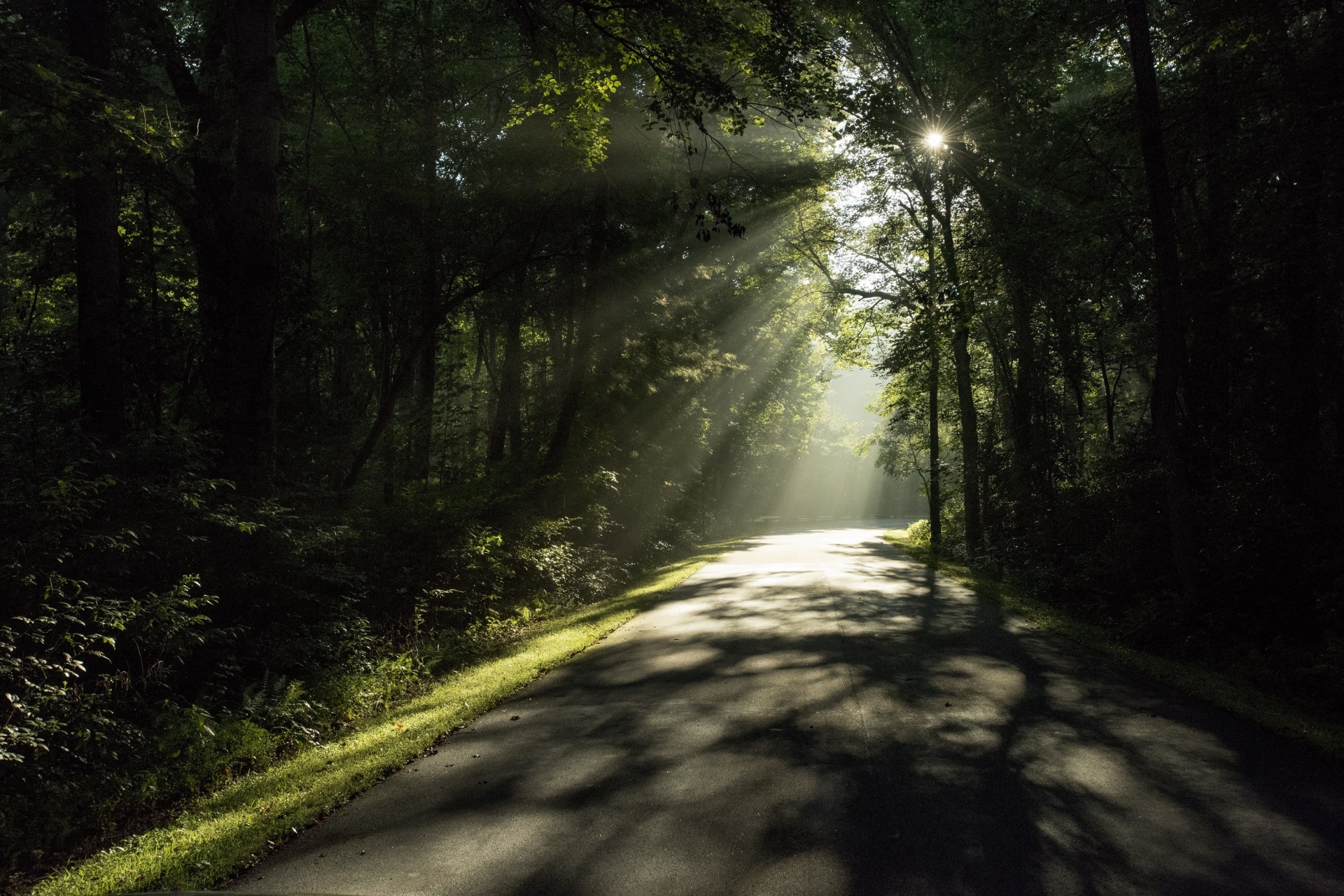 road scenic landscape free photo