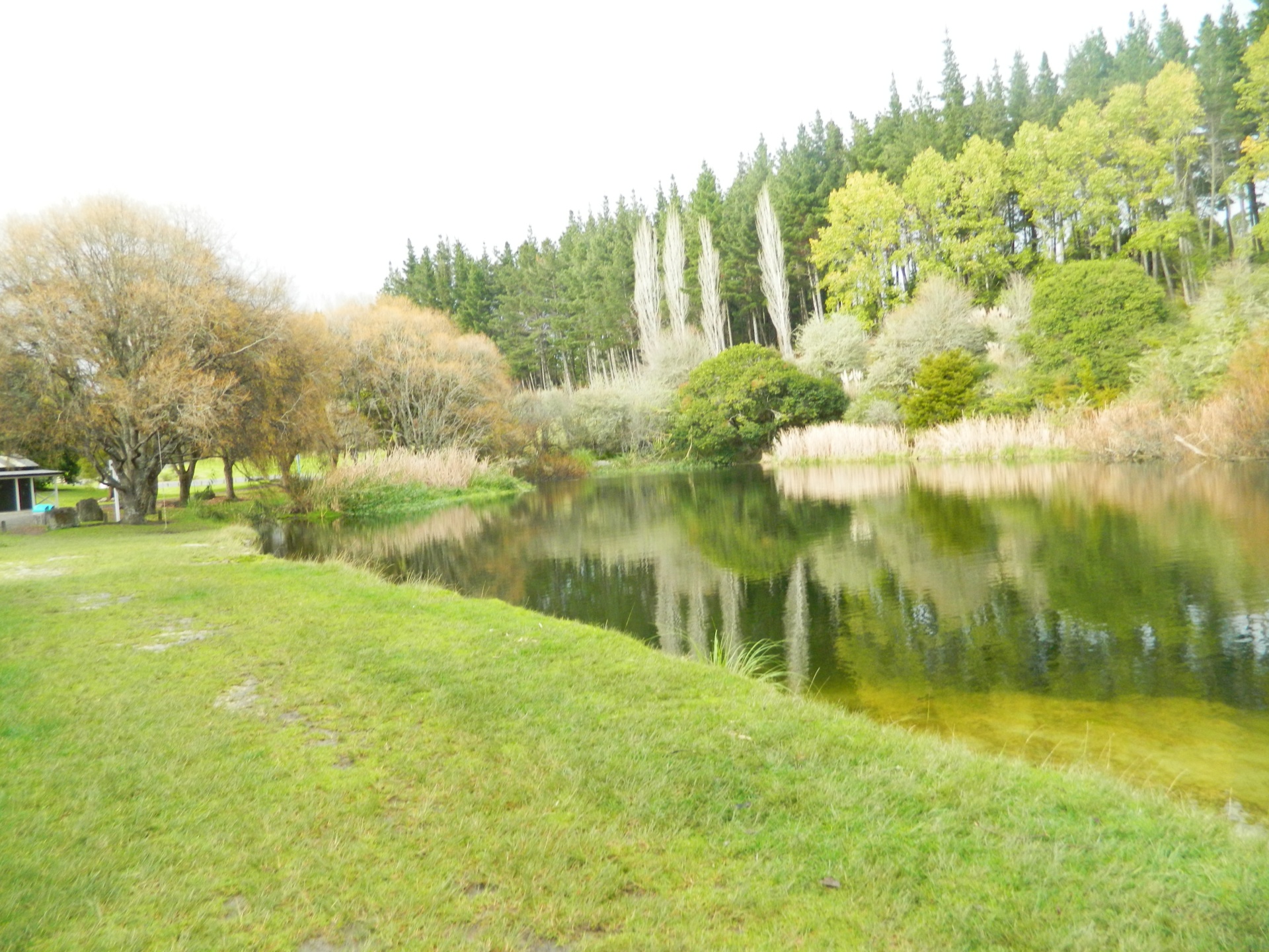 scenic swimming hole nature free photo