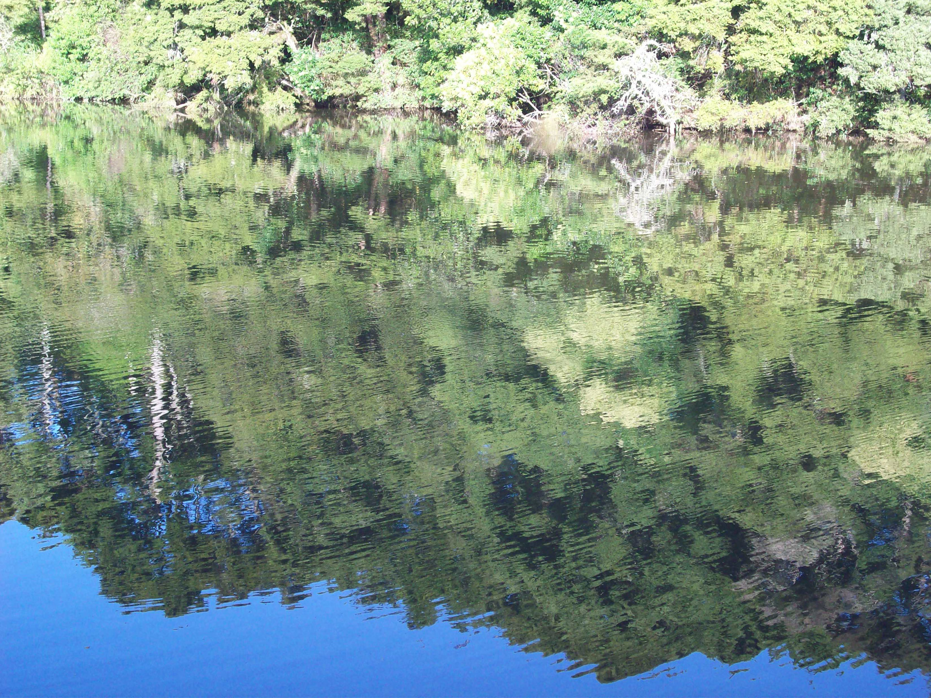 water scenic river water reflection free photo