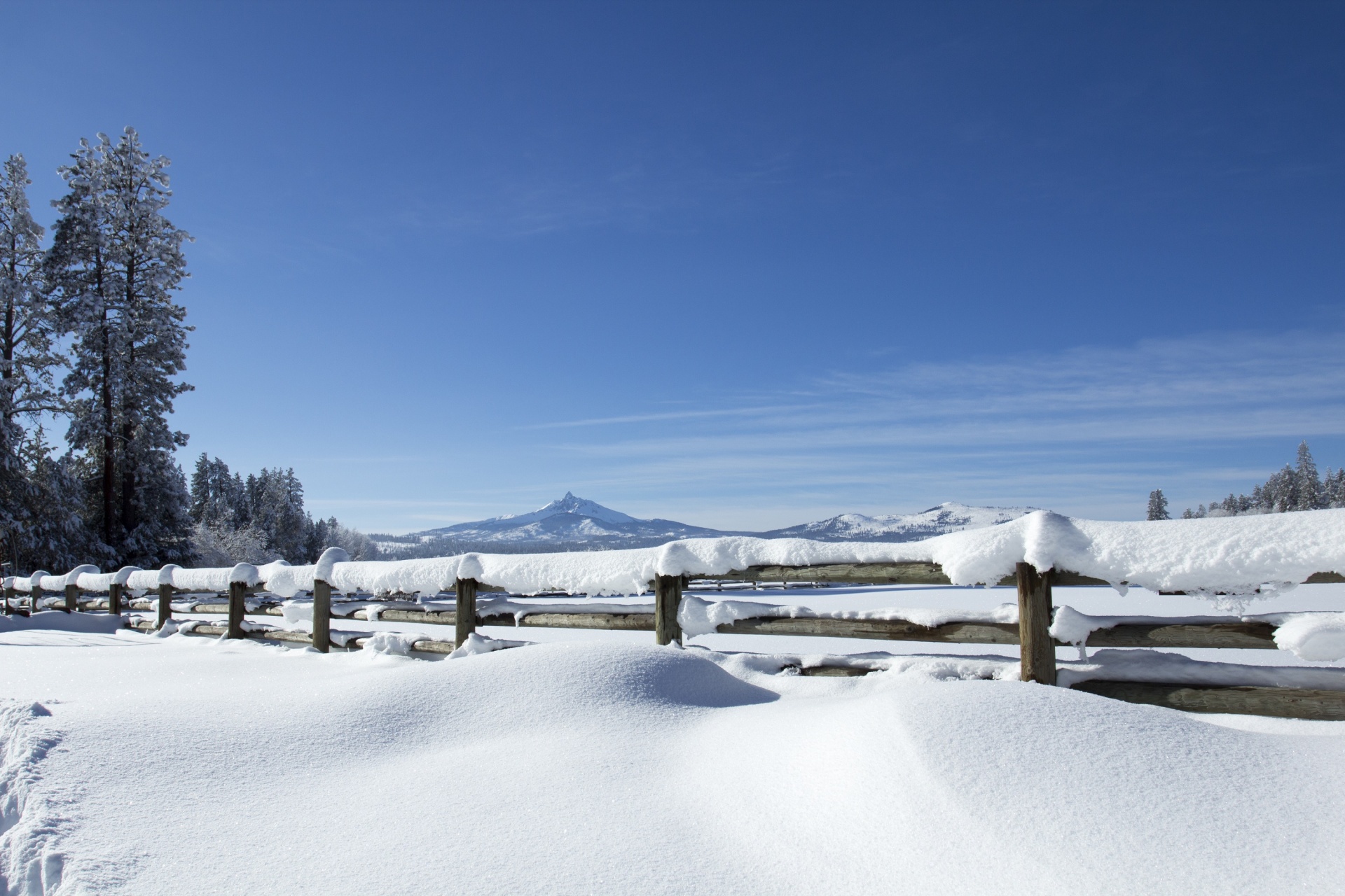 landscape snow winter free photo