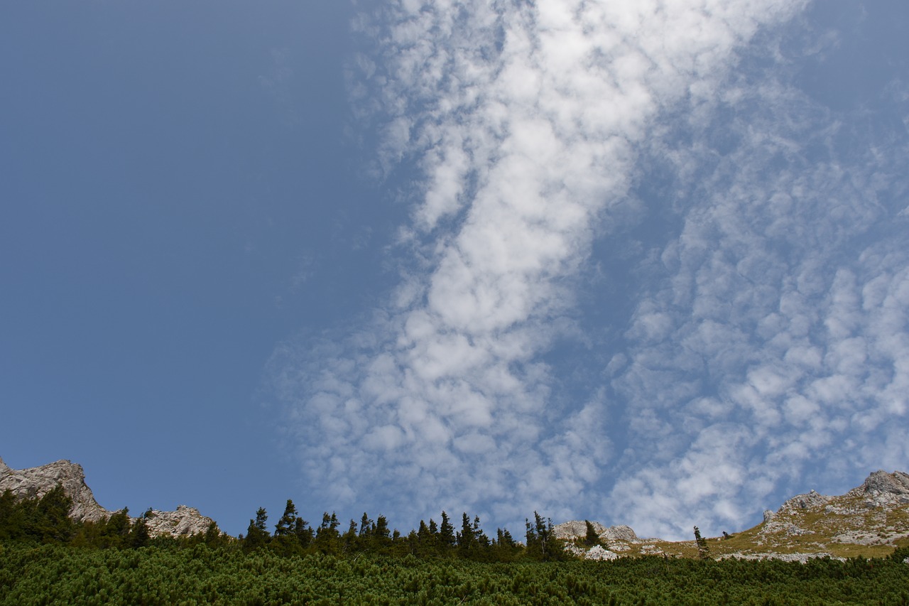 schäfche clouds mountains forest free photo