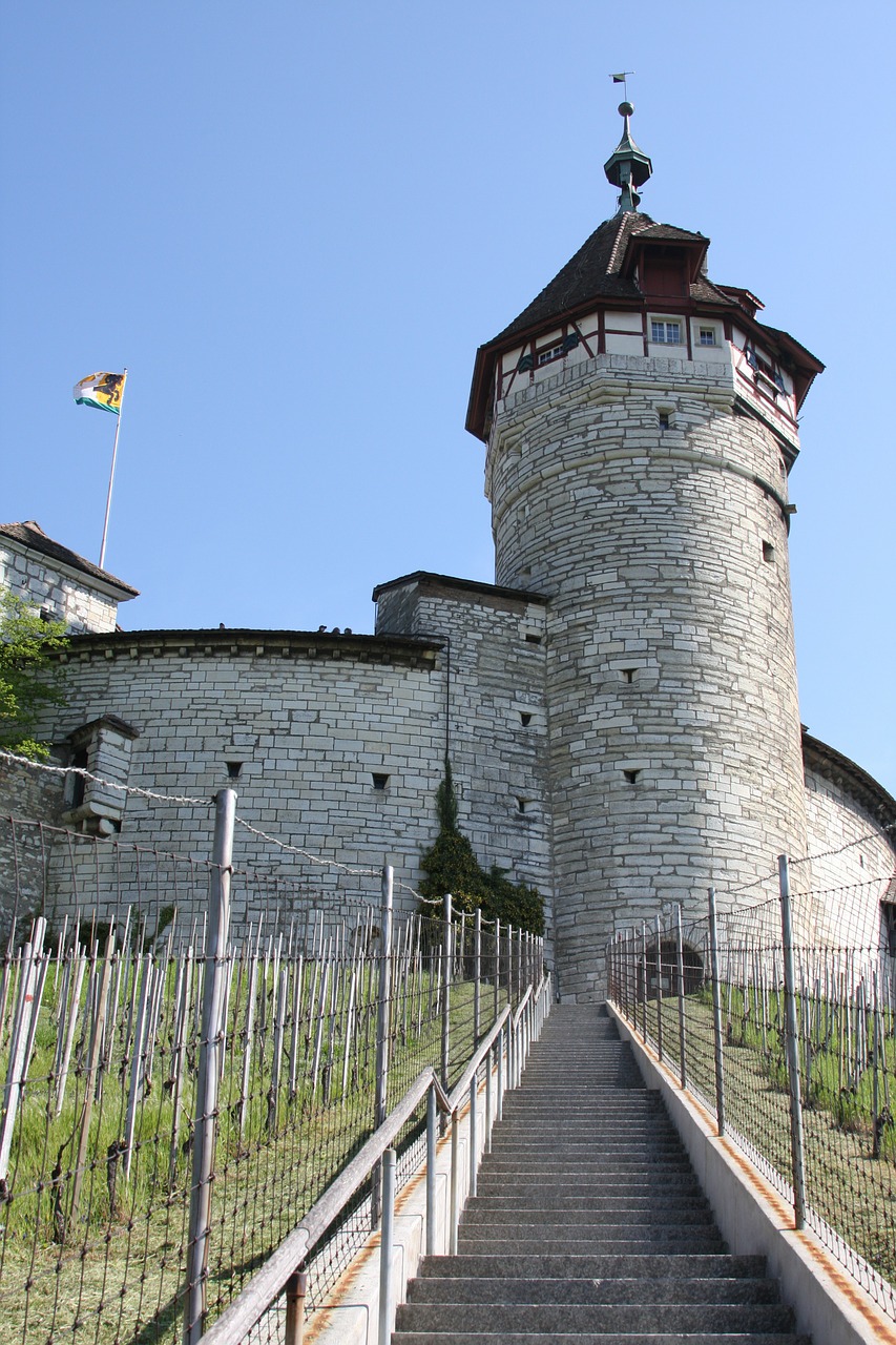 schaffhausen munot vineyard free photo