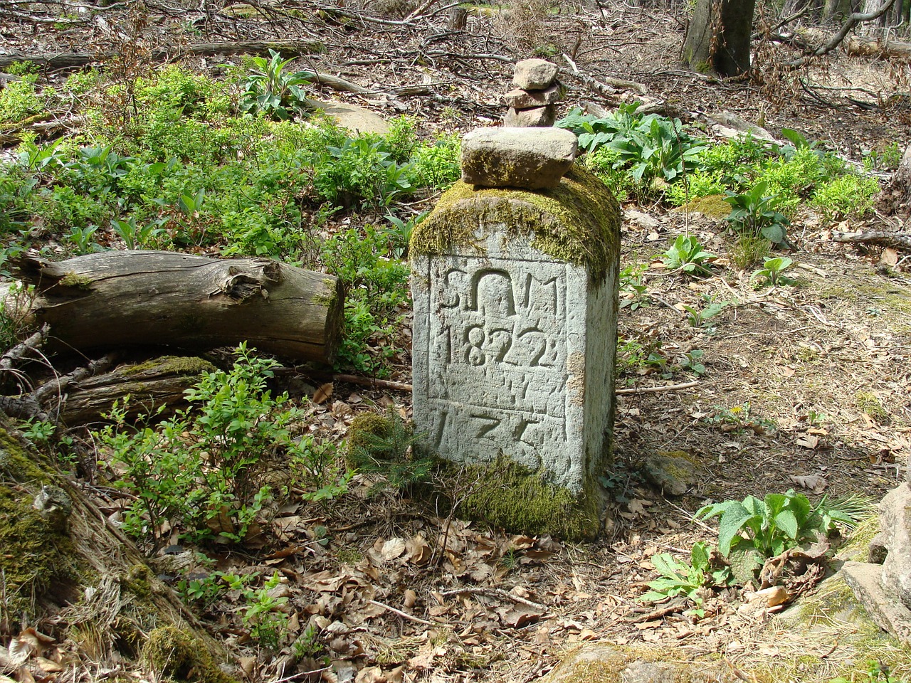 schafkopf palatine forest boundary stone free photo