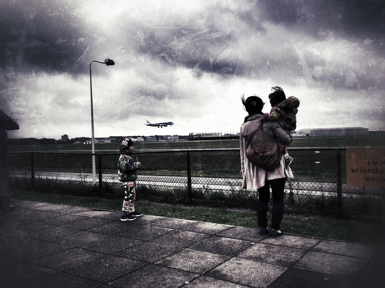 schiphol airport airline free photo