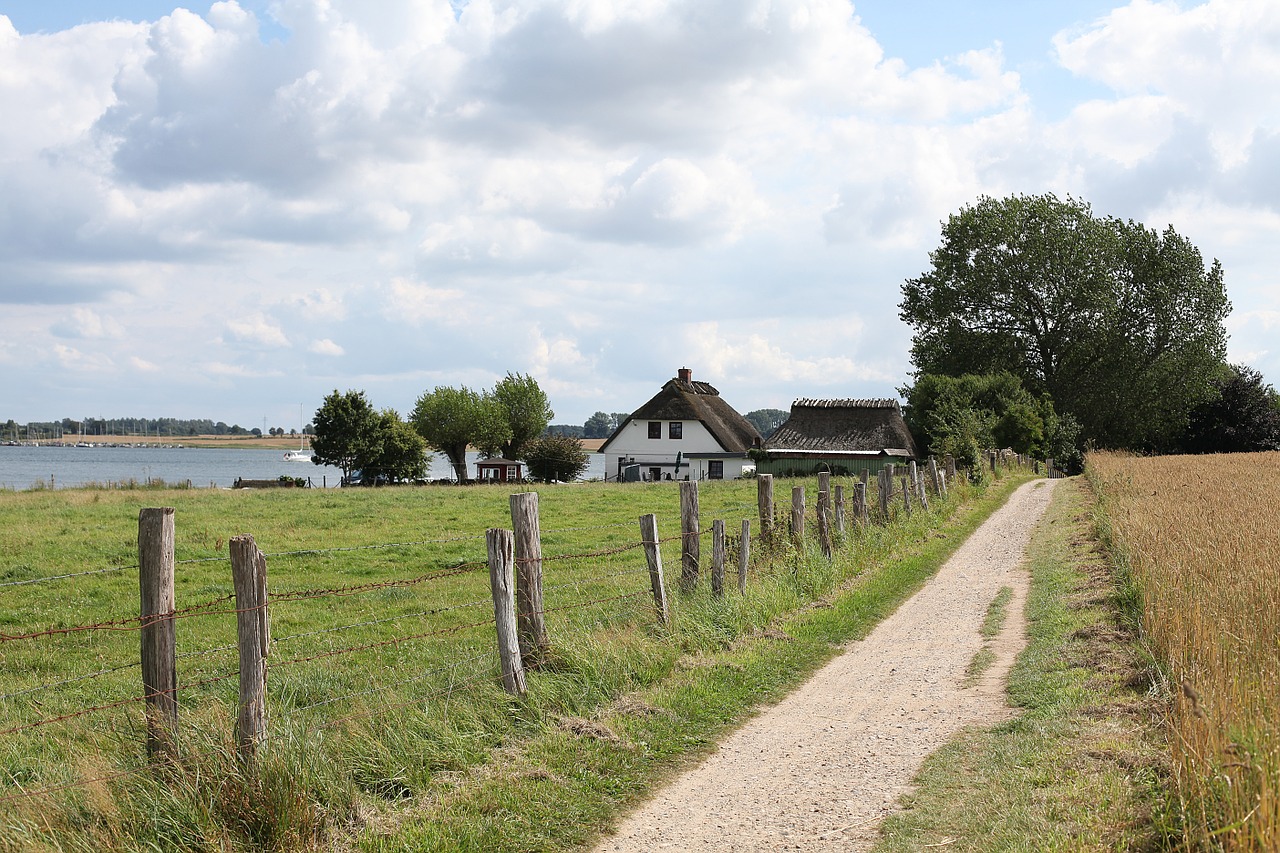 schlei promenade bank free photo