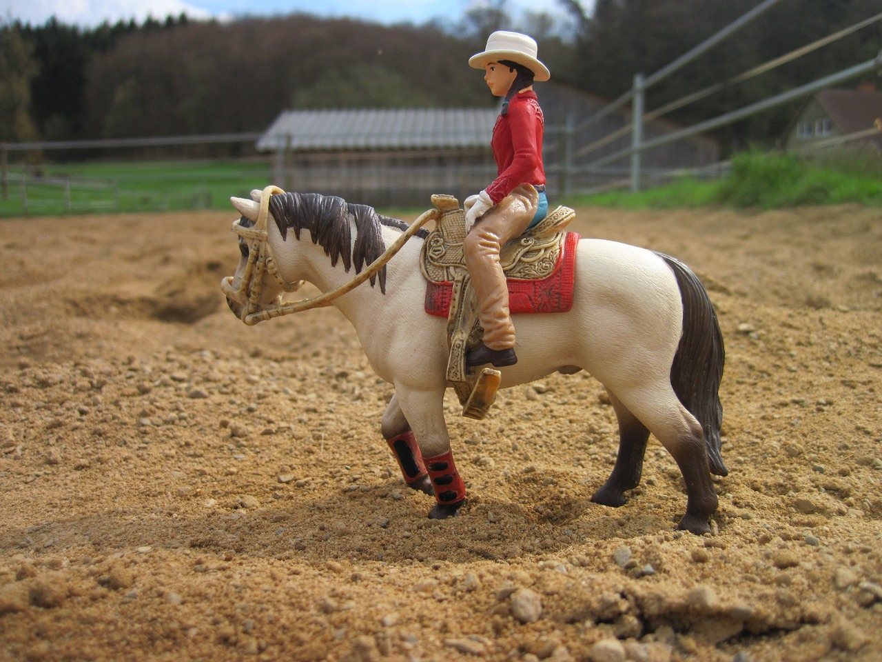 schleich horse horsewoman free photo